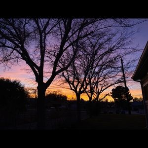 Meet your Posher, Cynthia